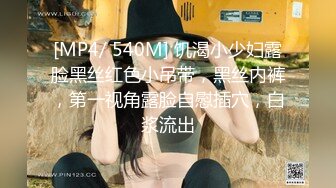 [MP4/ 540M] 饥渴小少妇露脸黑丝红色小吊带，黑丝内裤，第一视角露脸自慰插穴，白浆流出