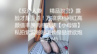 化身性感小野猫，红发网红美女，渔网袜美腿，无毛骚穴炮友爆草，从下往上时间，操的太爽的嗷嗷叫