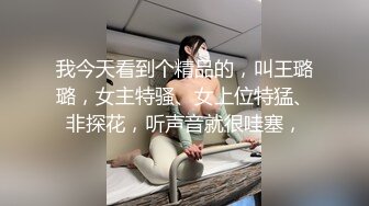 【麻豆传媒】MAN-0003 不能碰触的爱情-钟宛冰 & 言嘉佑