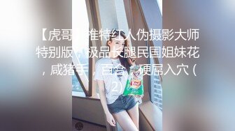 【虎哥】推特红人伪摄影大师特别版，极品长腿民国姐妹花，咸猪手，百合，硬屌入穴 (2)