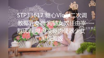 [MP4/362MB]【AI高清2K修复】11.3【太子极品探花】鸭哥代班约了个黑裙少妇，穿上情趣装后入猛操