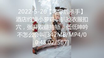 【兔子先生高清4K】日本特色女仆服务，什么都可以做。