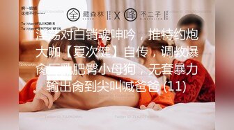 淫荡对白销魂呻吟，推特约炮大咖【夏次健】自传，调教爆肏巨乳肥臀小母狗，无套暴力输出肏到尖叫喊爸爸 (11)