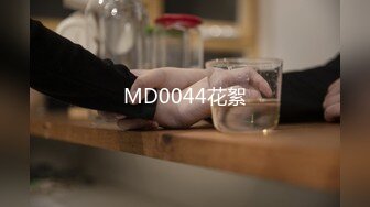 【沈樵系列】七旬老农的女鬼诱惑