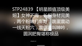 2024一月最新流出❤️厕拍极品收藏✿全新镜头升级商场后拍前景到两个美女