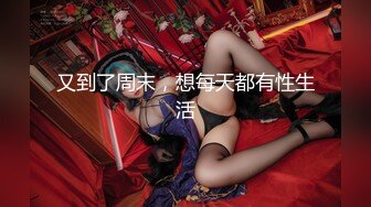 网红花臂纹身美女大花猫SM微拍视频,女主颜值很高,SM滴蜡2