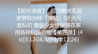 国产麻豆AV MDX MDX0195 婚前性爱大作战 韩棠