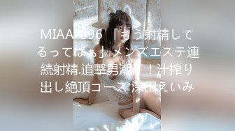 [001HMNF-068] 通りすがりのAV女優 19 迷言おっぱい編 ひなた澪 瀬名ひかり