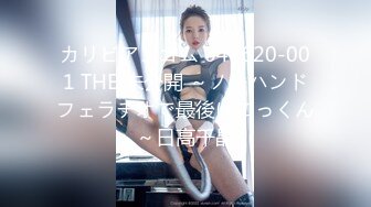 カリビアンコム 041620-001 THE 未公開 ～ノーハンドフェラチオで最後はごっくん～日高千晶