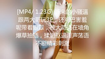 IDG5460 爱豆传媒 肉体惩罚 业绩不达标的美女业务员 依兰