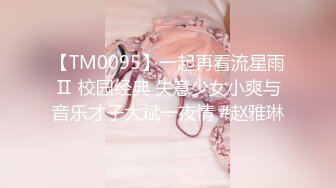 【TM0095】一起再看流星雨Ⅱ 校园经典 失意少女小爽与音乐才子大斌一夜情 #赵雅琳