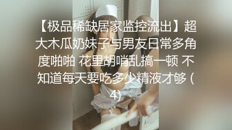 最新网红巨乳嫩模大超窄丁字裤露阴唇露乳晕