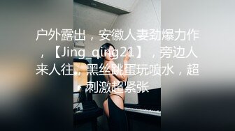 高超口技的女仆