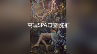 高端SPA口交 胸推