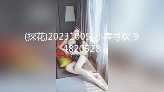 北京的长腿美女第三季下