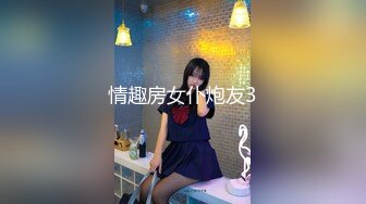 情趣房女仆炮友3