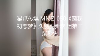 大神潜入商场女厕偷拍脚踩恨天的黑丝美女