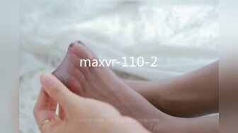 maxvr-110-2