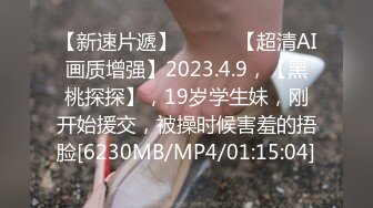 [MP4/385MB]海角大神叶大叔路过少妇房东的家，三请八邀的才出来，在大桥底下野战