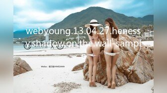 webyoung.13.04.27.henessy.shadow.on.the.wall-sample