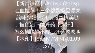 [2DF2] 《横扫全国外围圈》土豪酒店约小姐制服黑丝诱惑啪啪[MP4/283MB][BT种子]