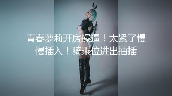 麻豆传媒 MPG014 释放空姐女友的性欲-苏清歌