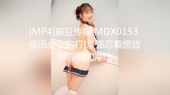 [MP4]麻豆传媒 MDX0153 视讯会议的打扰 强忍着想放声淫叫的冲动