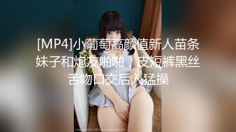 [MP4]小葡萄高颜值新人苗条妹子和炮友啪啪，皮短裤黑丝舌吻口交后入猛操