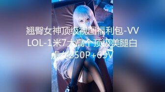 翘臀女神顶级视图福利包-VVLOL-1米7大高个顶级美腿白虎女250P+65V